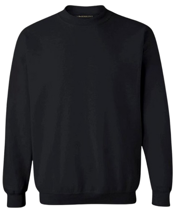 SweatshirtS02
